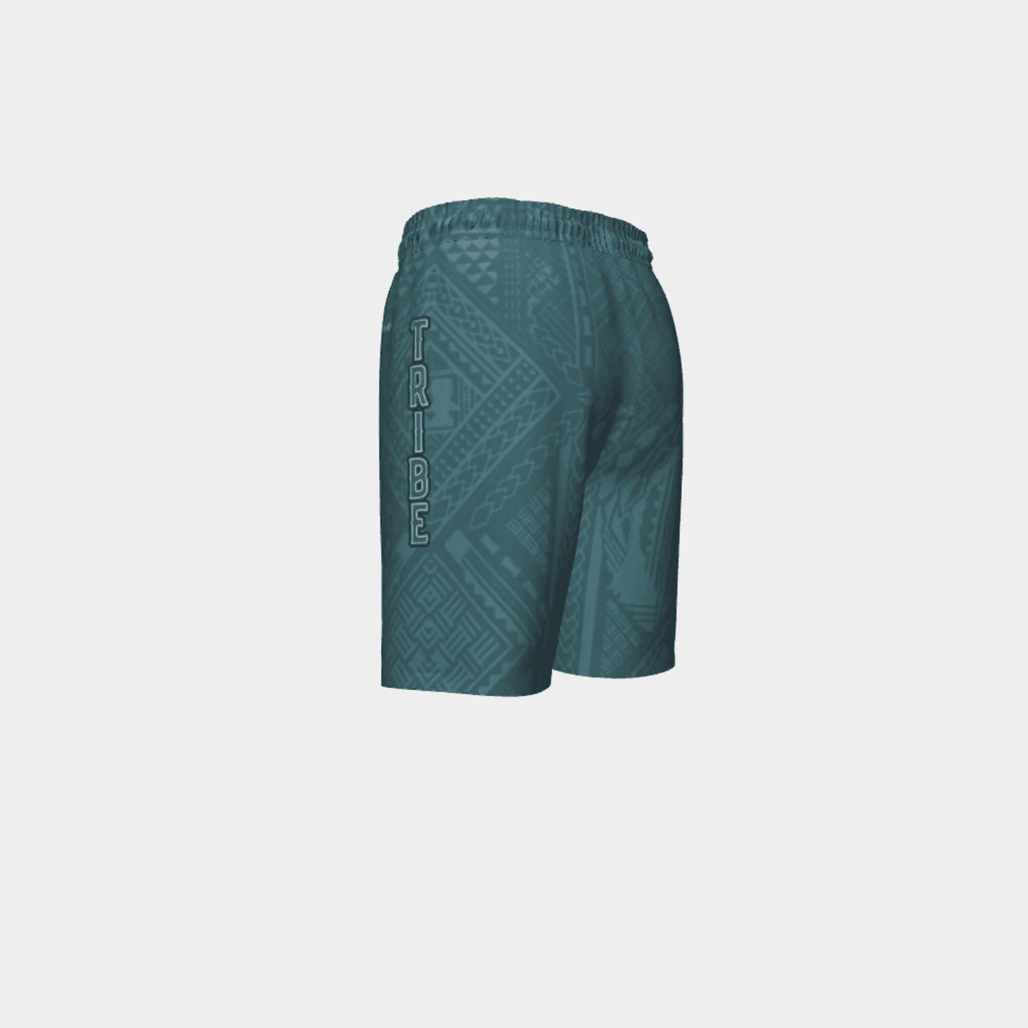Active Gym Shorts AGS-003 - Image 2